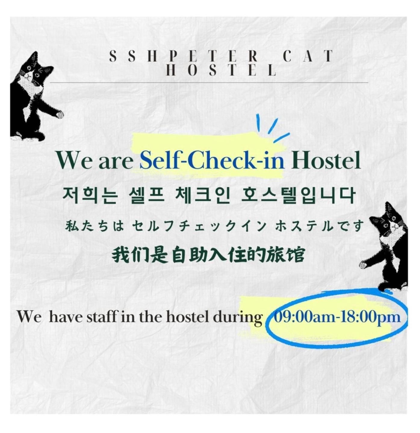 Ssh Ikseon Peter Cat Hostel Seul Esterno foto