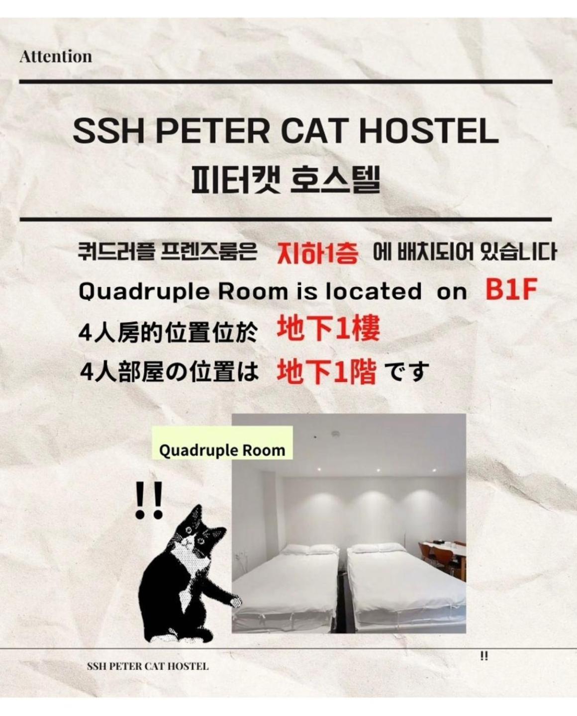 Ssh Ikseon Peter Cat Hostel Seul Esterno foto